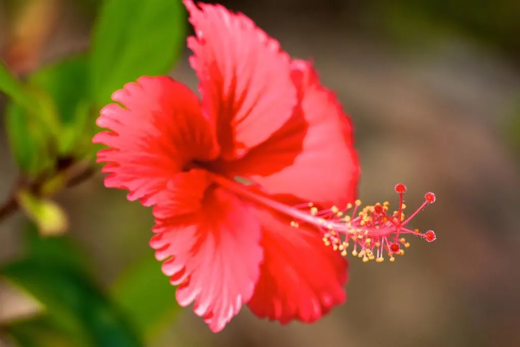 Valmer Resort And Spa Baie Lazare  Baie Lazare (Mahe)